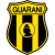 guarani logo