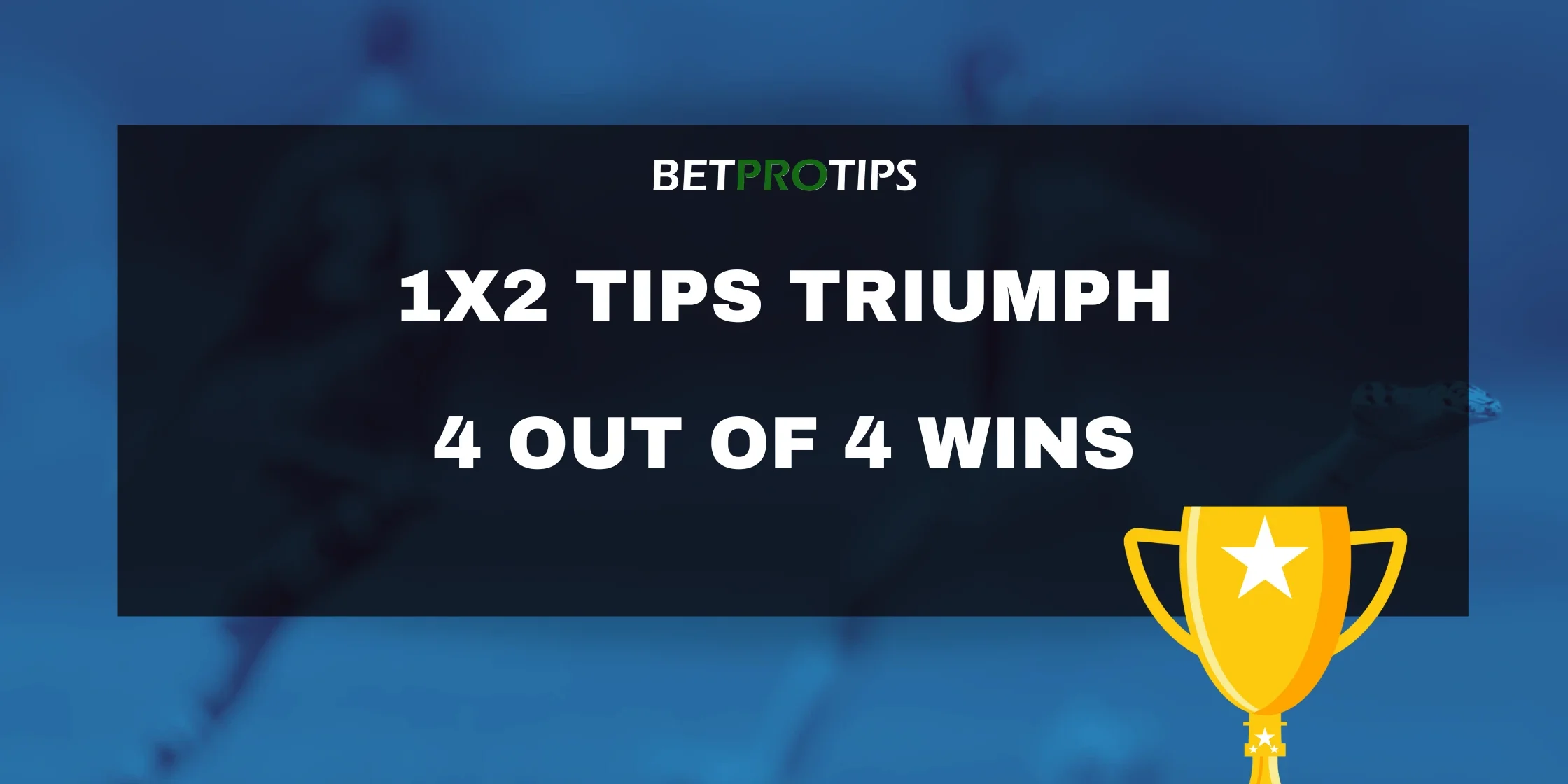 1×2 tips triumph 1x2 tips triumph