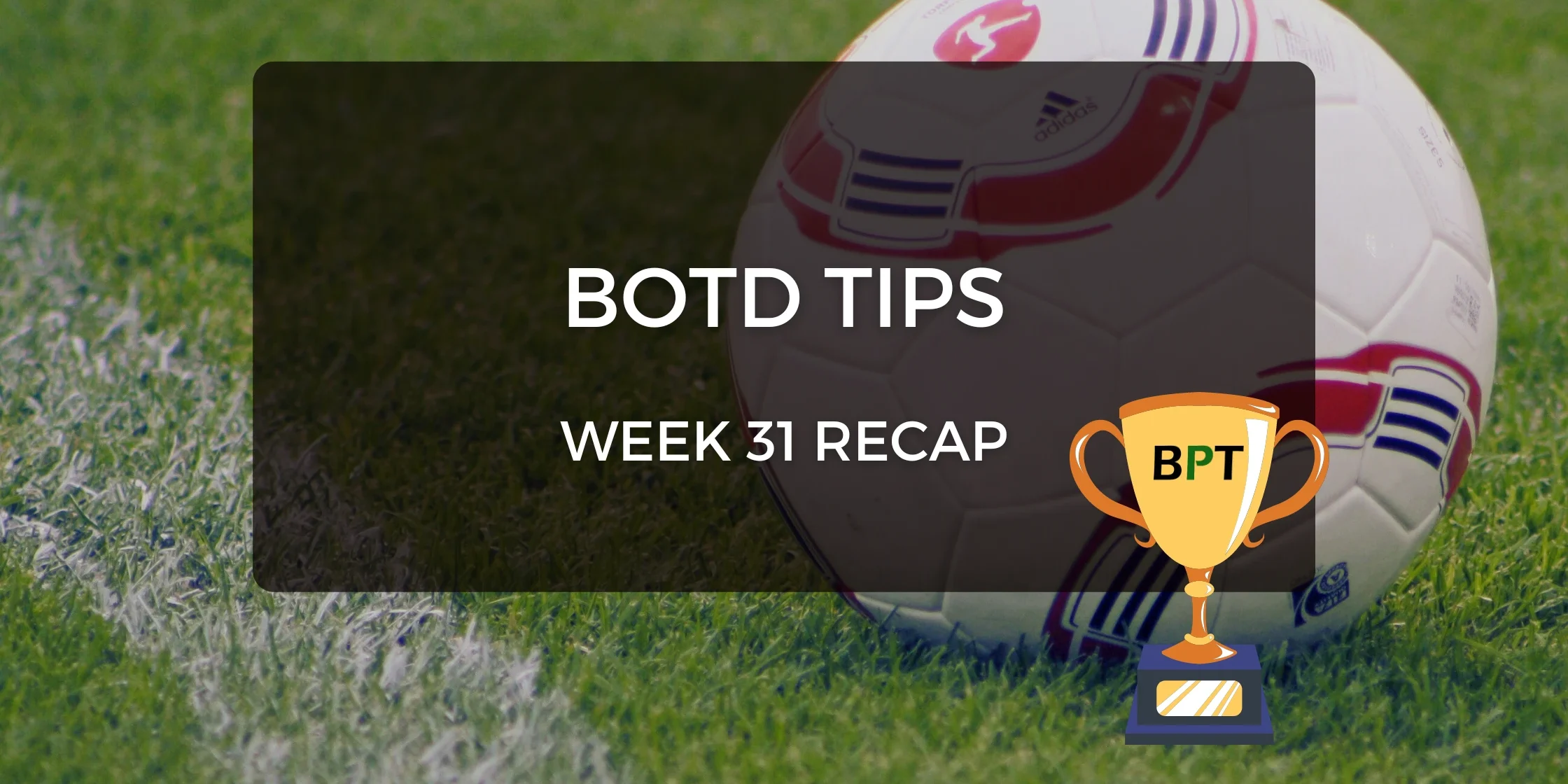botd tips week 31