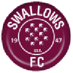 swallows