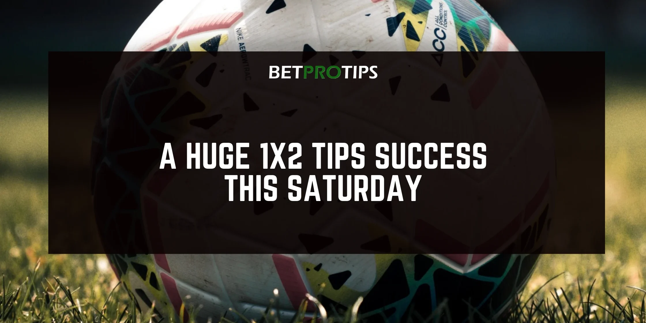 huge 1x2 tips success
