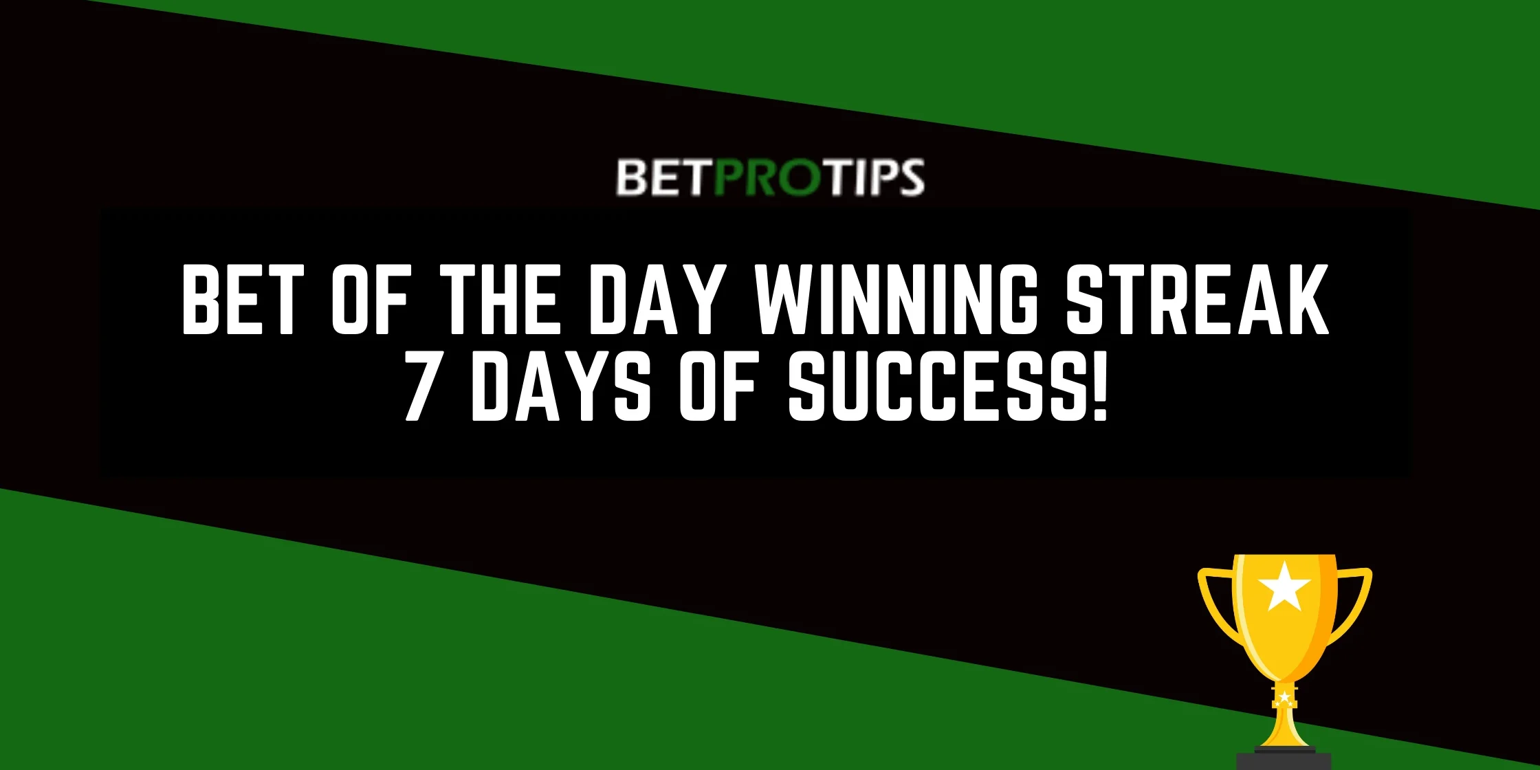 bet of the day winning streak