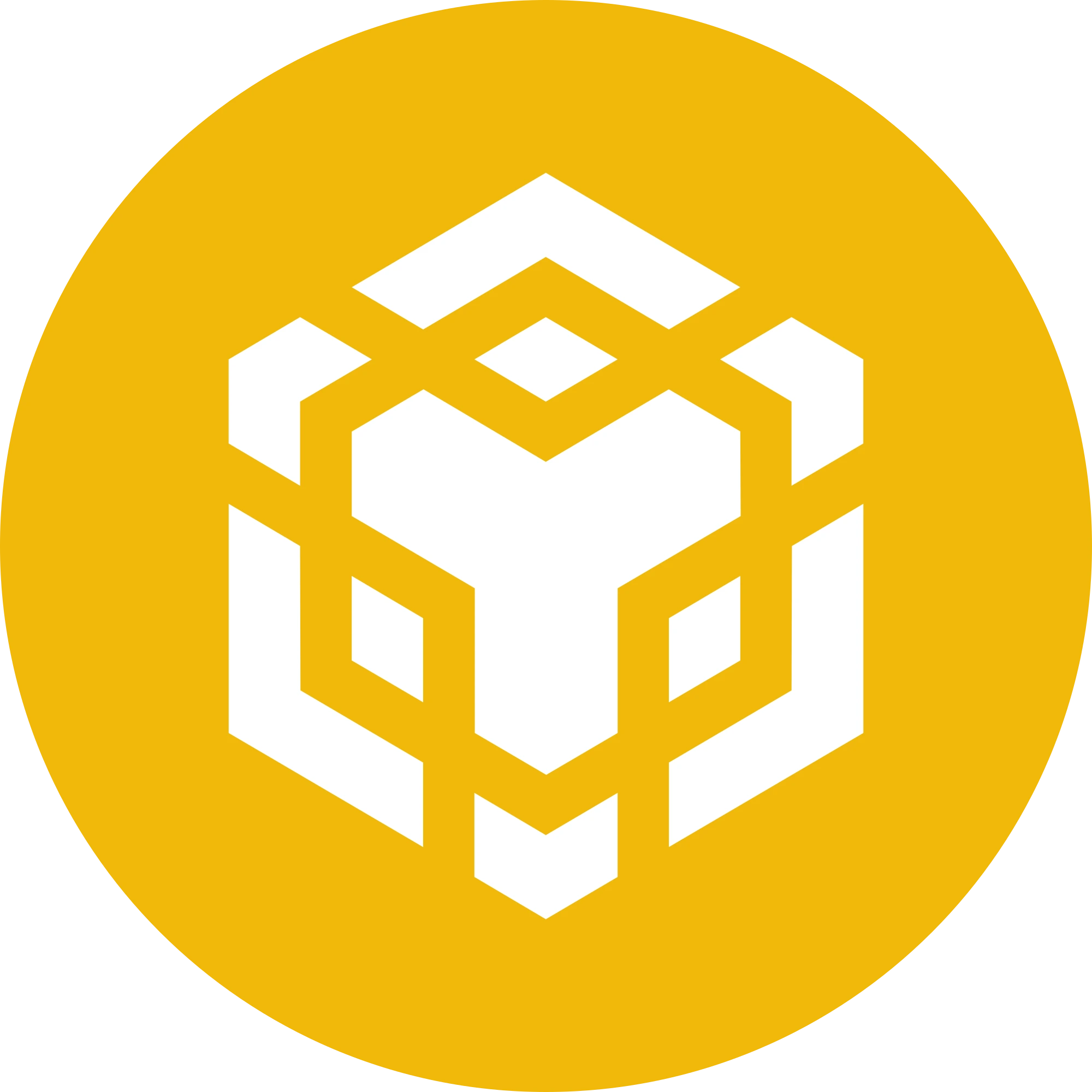 BNB (Binance Coin)