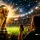 what to bet on world cup 2026