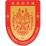 Home Team Logo